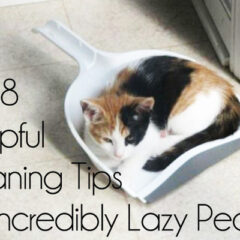 28 Helpful Cleaning Tips For Incredibly Lazy People