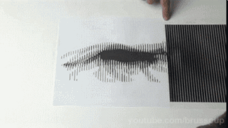 AD-Insane-Optical-Illusions-That-Will-Make-You-Question-Your-Sanity-22