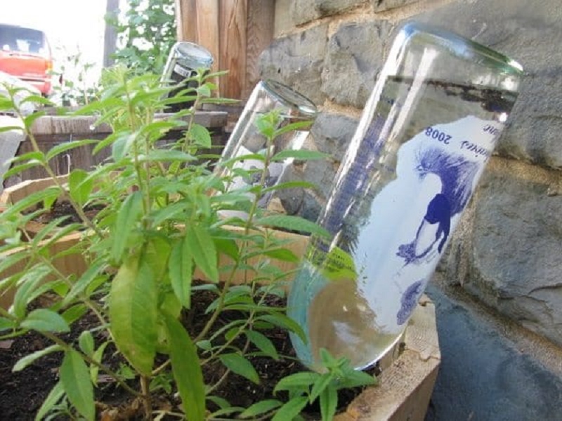 This Is Great For When You Go On Vacation. Add Water To Empty Wine Bottles And Place Them Upside Down In Plant Pots. This Will Ensure Your Plants Remain Hydrated While You're Away Having Fun!