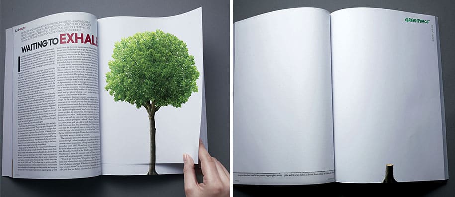 Deforestation Continues With The Turn Of A Page