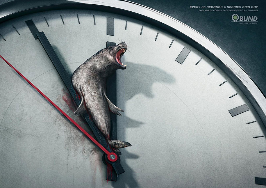 Every 60 Seconds, A Species Dies Out. Each Minute Counts