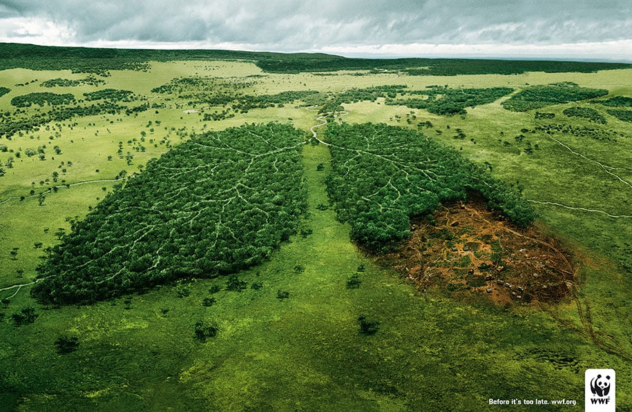 Deforestation And The Air We Breathe: Before It's Too Late