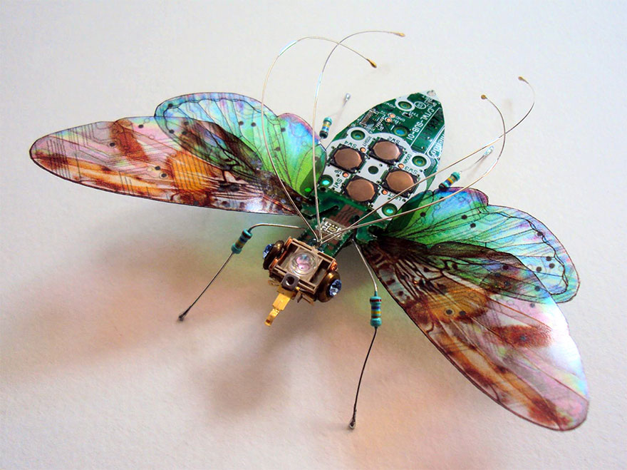 AD-Circuit-Board-Winged-Insects-Dew-Leaf-Julie-Alice-Chappell-1
