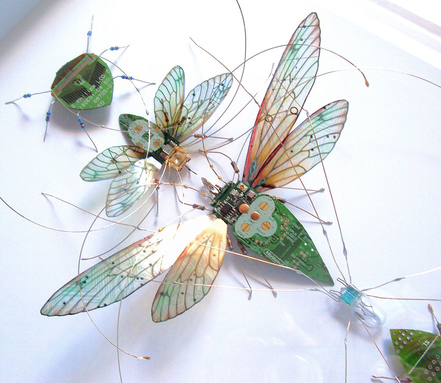AD-Circuit-Board-Winged-Insects-Dew-Leaf-Julie-Alice-Chappell-15
