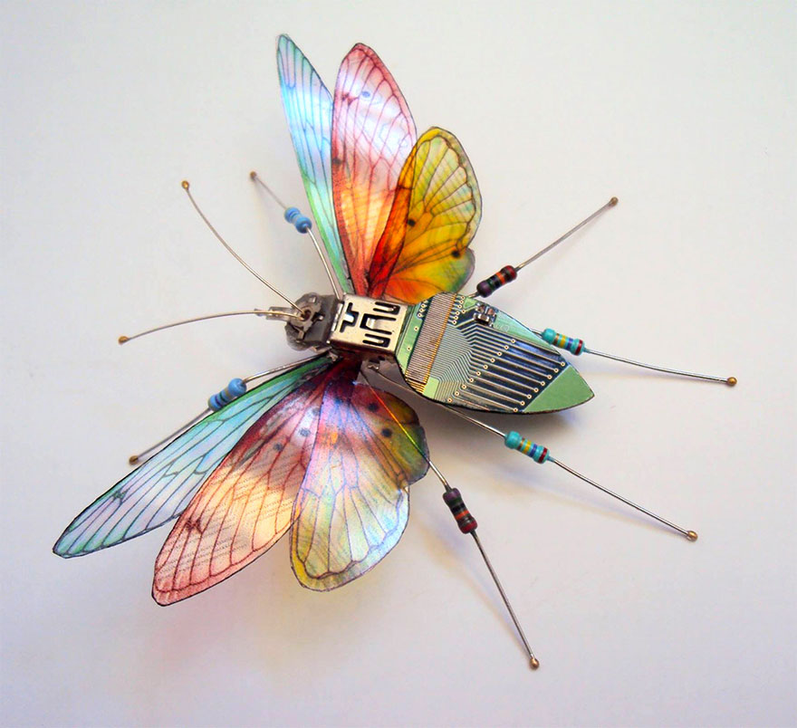 AD-Circuit-Board-Winged-Insects-Dew-Leaf-Julie-Alice-Chappell-4
