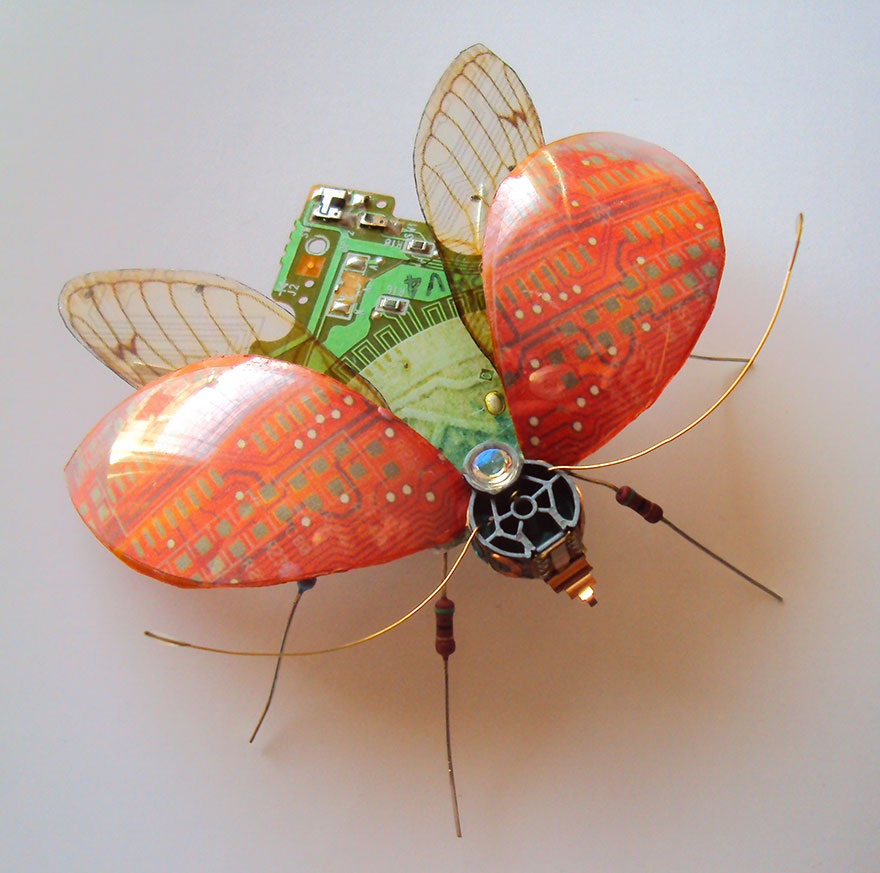 AD-Circuit-Board-Winged-Insects-Dew-Leaf-Julie-Alice-Chappell-7