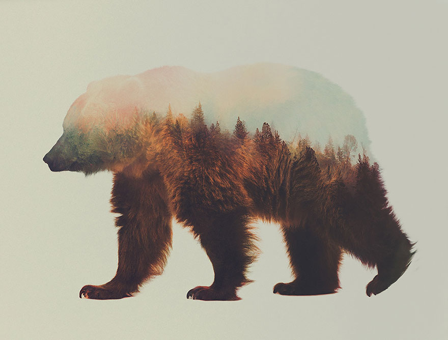 AD-Double-Exposure-Animal-Photography-Andreas-Lie-10