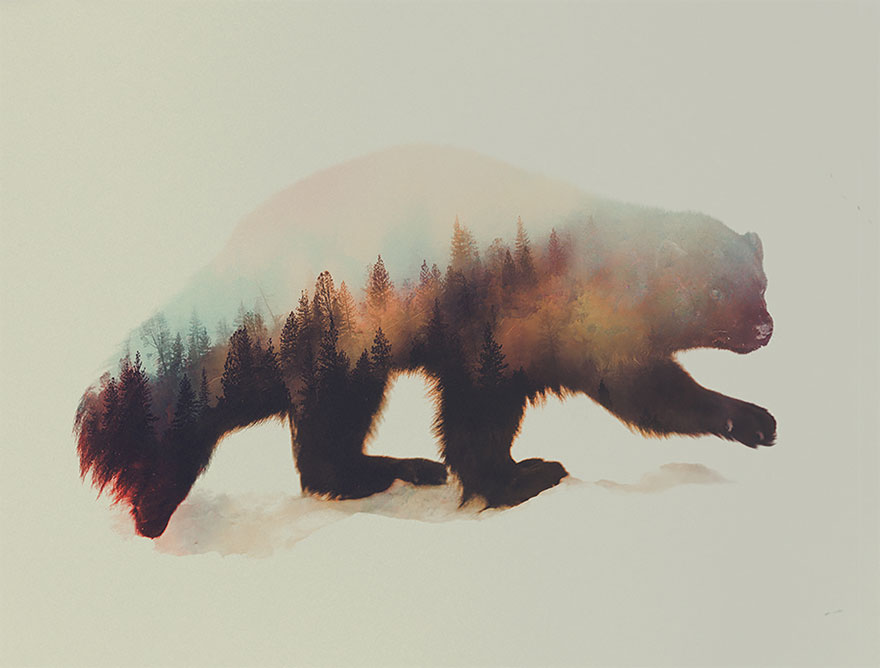AD-Double-Exposure-Animal-Photography-Andreas-Lie-14