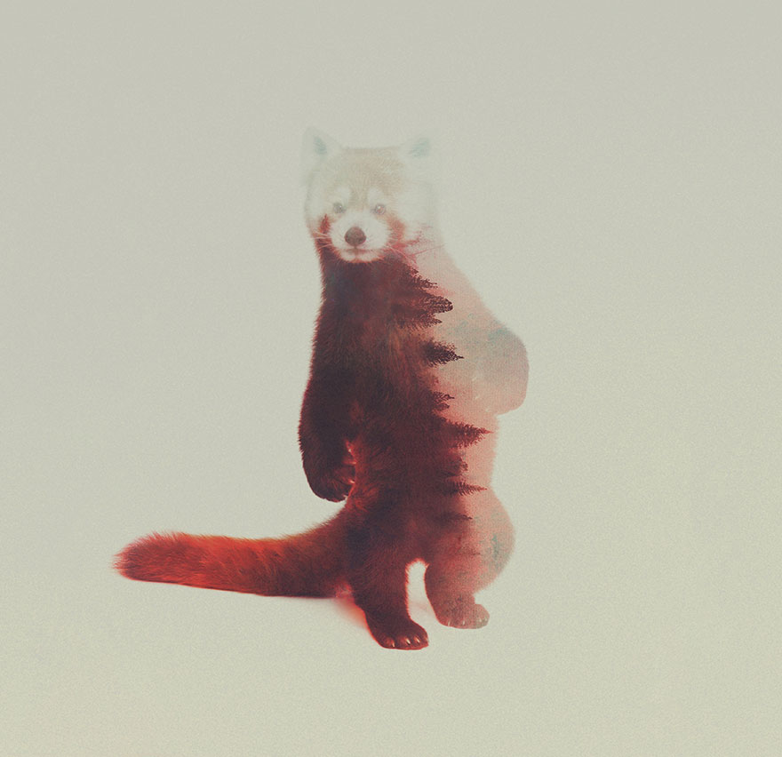 AD-Double-Exposure-Animal-Photography-Andreas-Lie-15