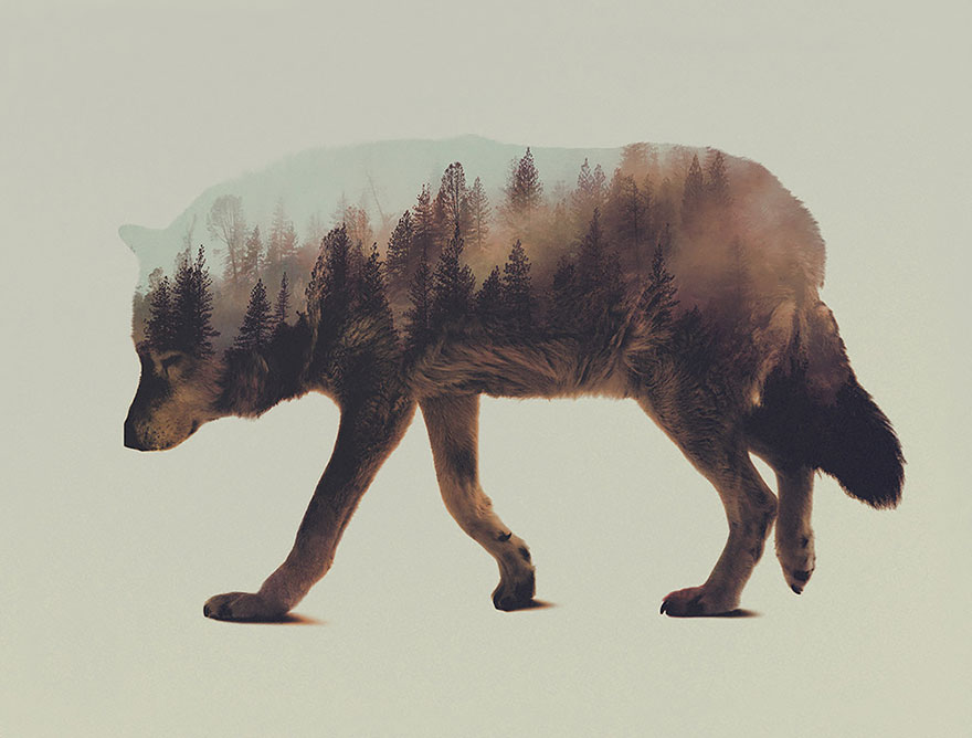 AD-Double-Exposure-Animal-Photography-Andreas-Lie-2
