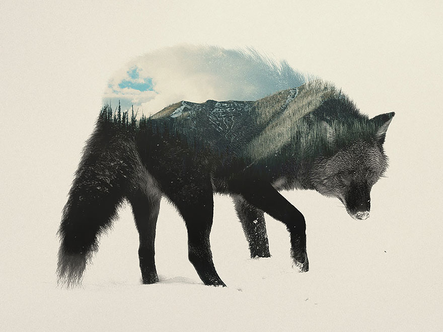 AD-Double-Exposure-Animal-Photography-Andreas-Lie-4