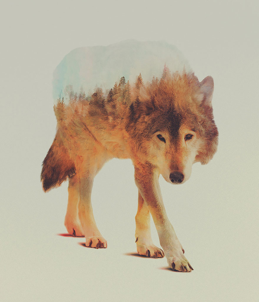 AD-Double-Exposure-Animal-Photography-Andreas-Lie-6