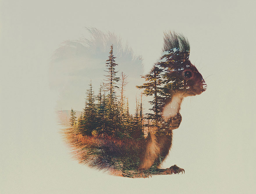 AD-Double-Exposure-Animal-Photography-Andreas-Lie-7