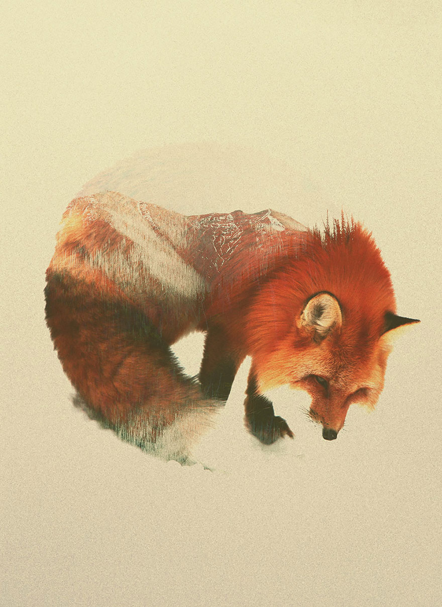 AD-Double-Exposure-Animal-Photography-Andreas-Lie-8