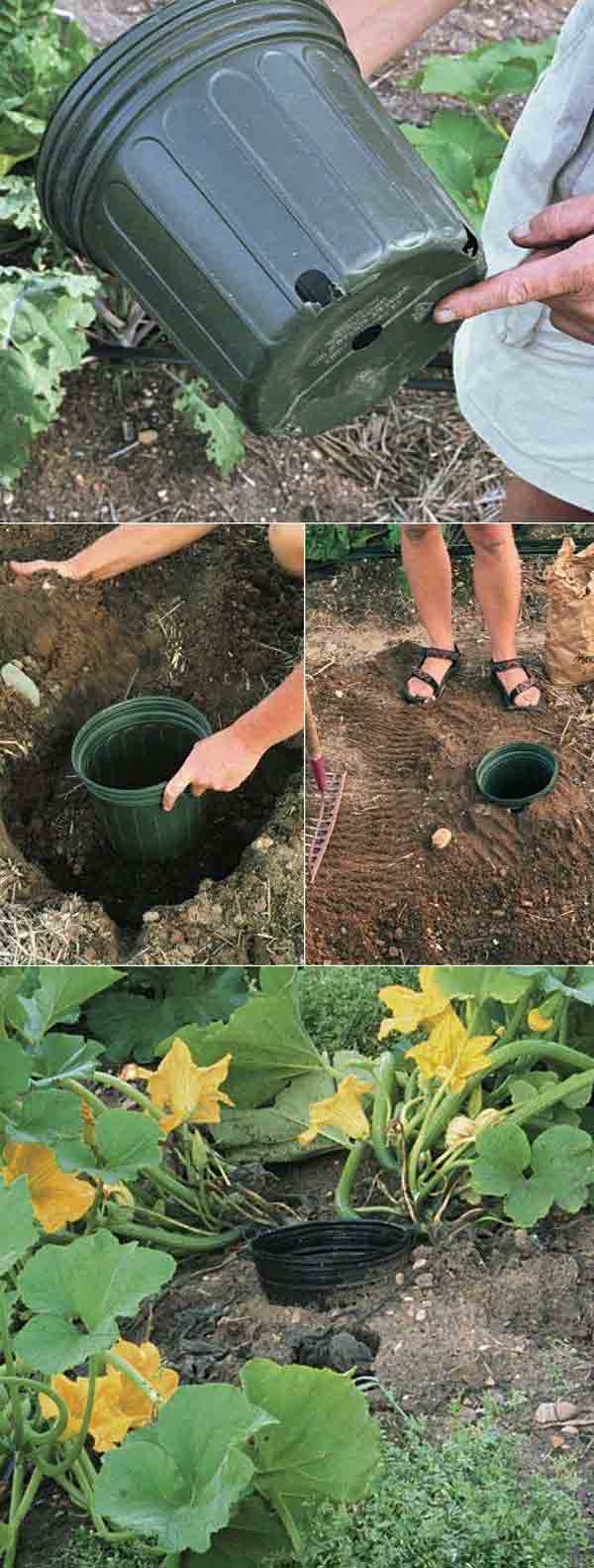 AD-Gardening-Tips-14
