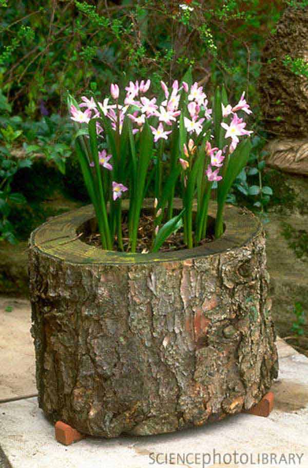 Turn A Tree Stump Into A Cool Flower Planter