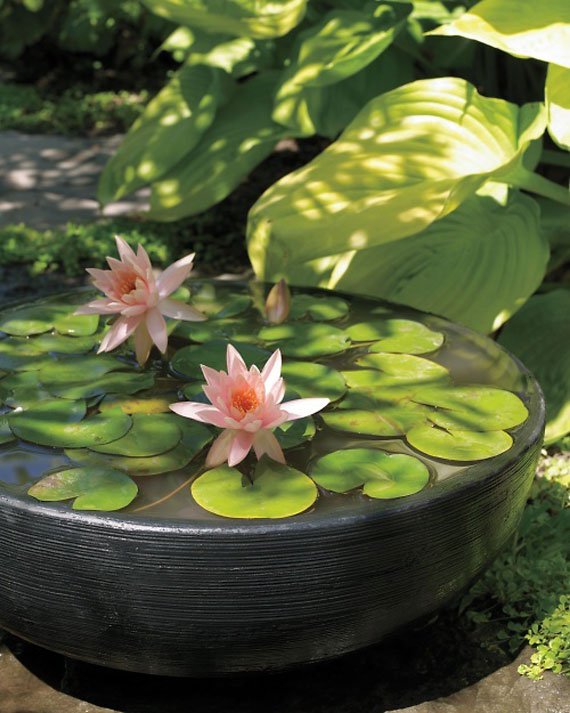30 Beautiful Backyard Ponds And Water Garden Ideas | Architecture & Design