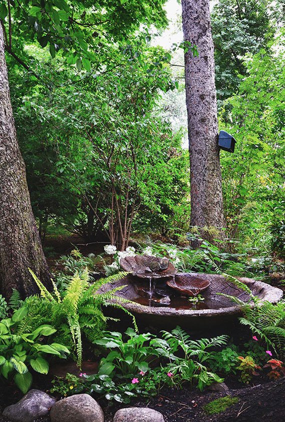 AD-Backyard-Ponds-Water-Gardens-31