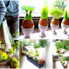 25+ Clever Miniaturized Indoor Garden Projects That You Would Really Love