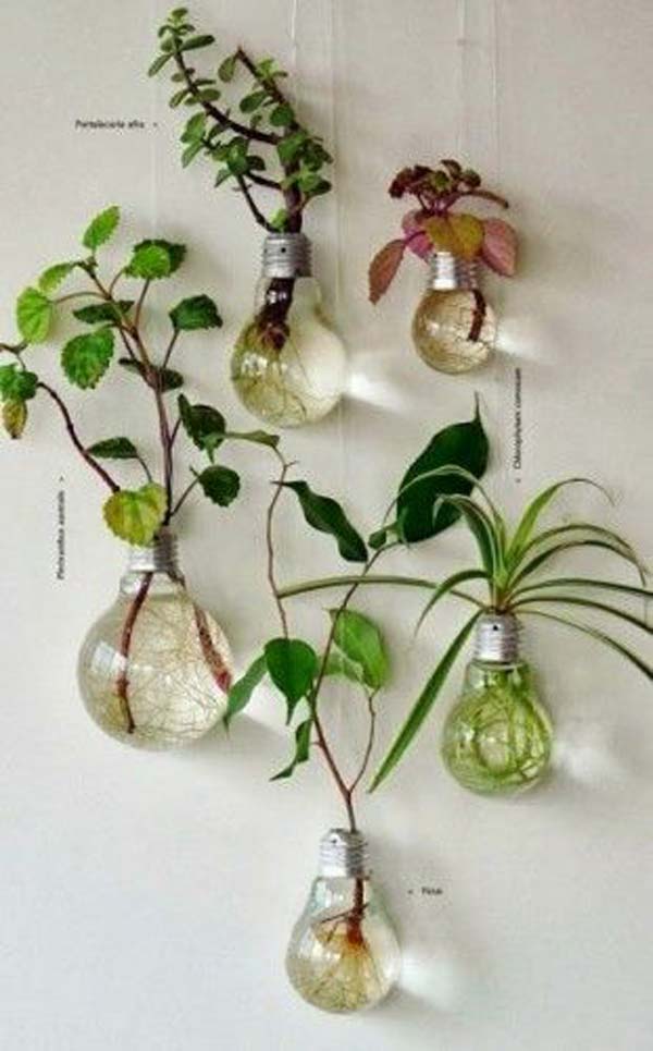 AD-Smart-Miniaturized-Indoor-Garden-Projects-18
