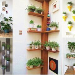 15 Amazing Ideas to Display Your Indoor Plants