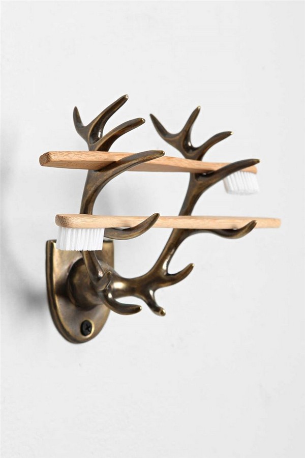 How about an antler toothbrush holder?