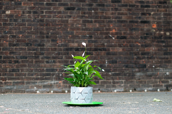 AD-Origami-Pot-Plant-Grows-Studio-Ayaskan-2