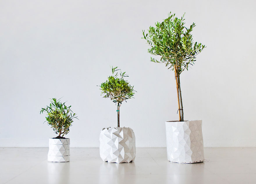 AD-Origami-Pot-Plant-Grows-Studio-Ayaskan-3