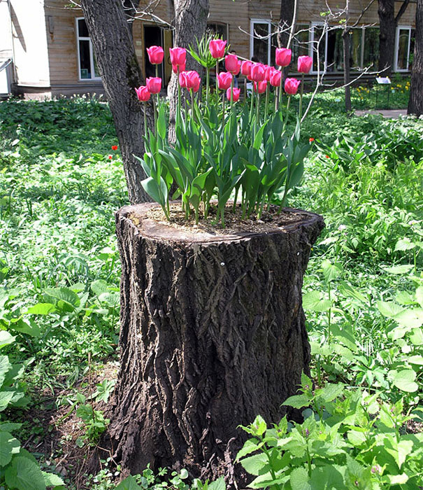 AD-Tree-Stump-Flower-Garden-10