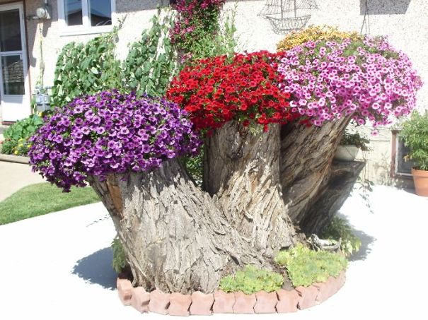 AD-Tree-Stump-Flower-Garden-2