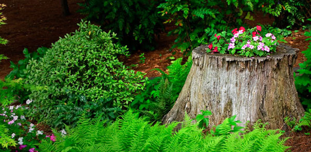 AD-Tree-Stump-Flower-Garden-21