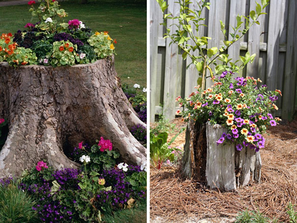 25+ Old Tree Stumps Turned Into Beautiful Flower Planters