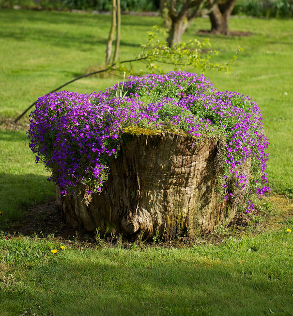 AD-Tree-Stump-Flower-Garden-5