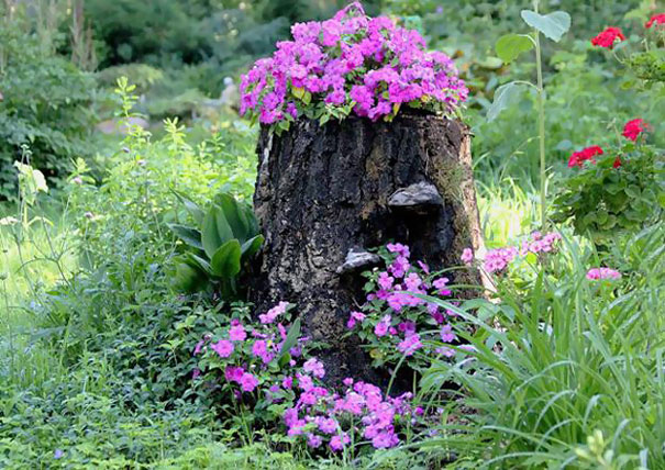 AD-Tree-Stump-Flower-Garden-6