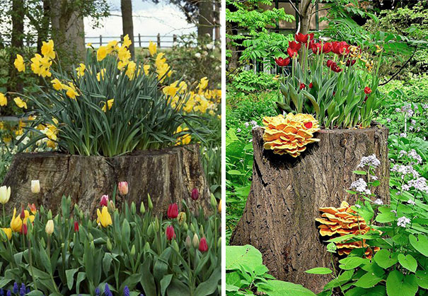 AD-Tree-Stump-Flower-Garden-7