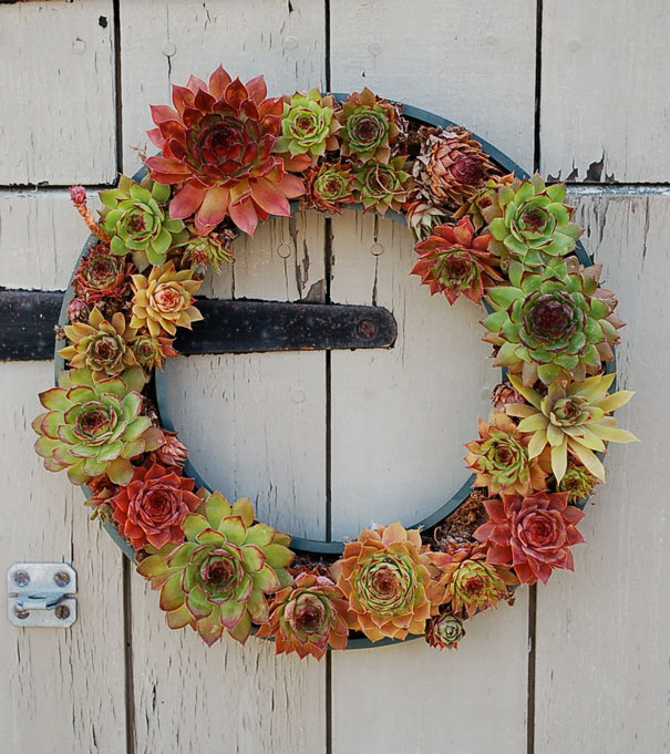 Tire Used As Base For Succulent Wreath