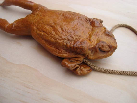 Taxidermy Frog Purse
