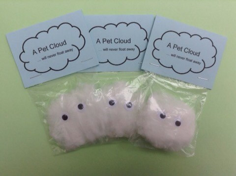 A Pet Cloud