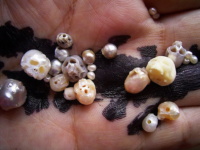 AD-Carved-Pearl-Skulls-Vanitas-Shinji-Nakaba-11