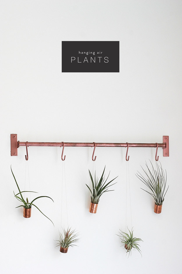Spray A Plastic Or Wooden Dowel With Copper Spray Paint, Then Hang Air Plants On It.
