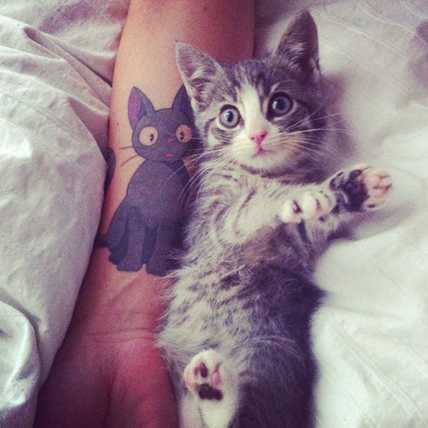 AD-Minimalistic-Cat-Tattoos-32