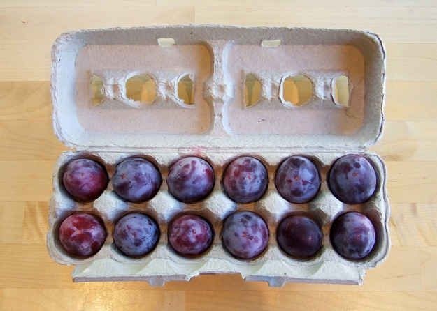 Egg cartons can be used to tote fruit that bruises easily.
