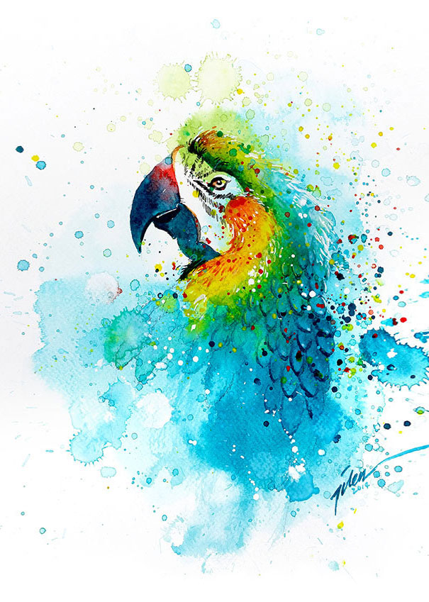 AD-Colorful-Animal-Watercolor-Paintings-Tilen-Ti-10