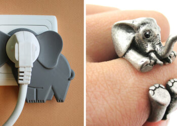 Things Every Elephant Lover Needs In Their Life