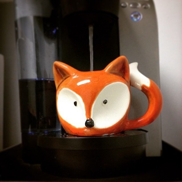 What does the fox say? He says: "Here, have some coffee."