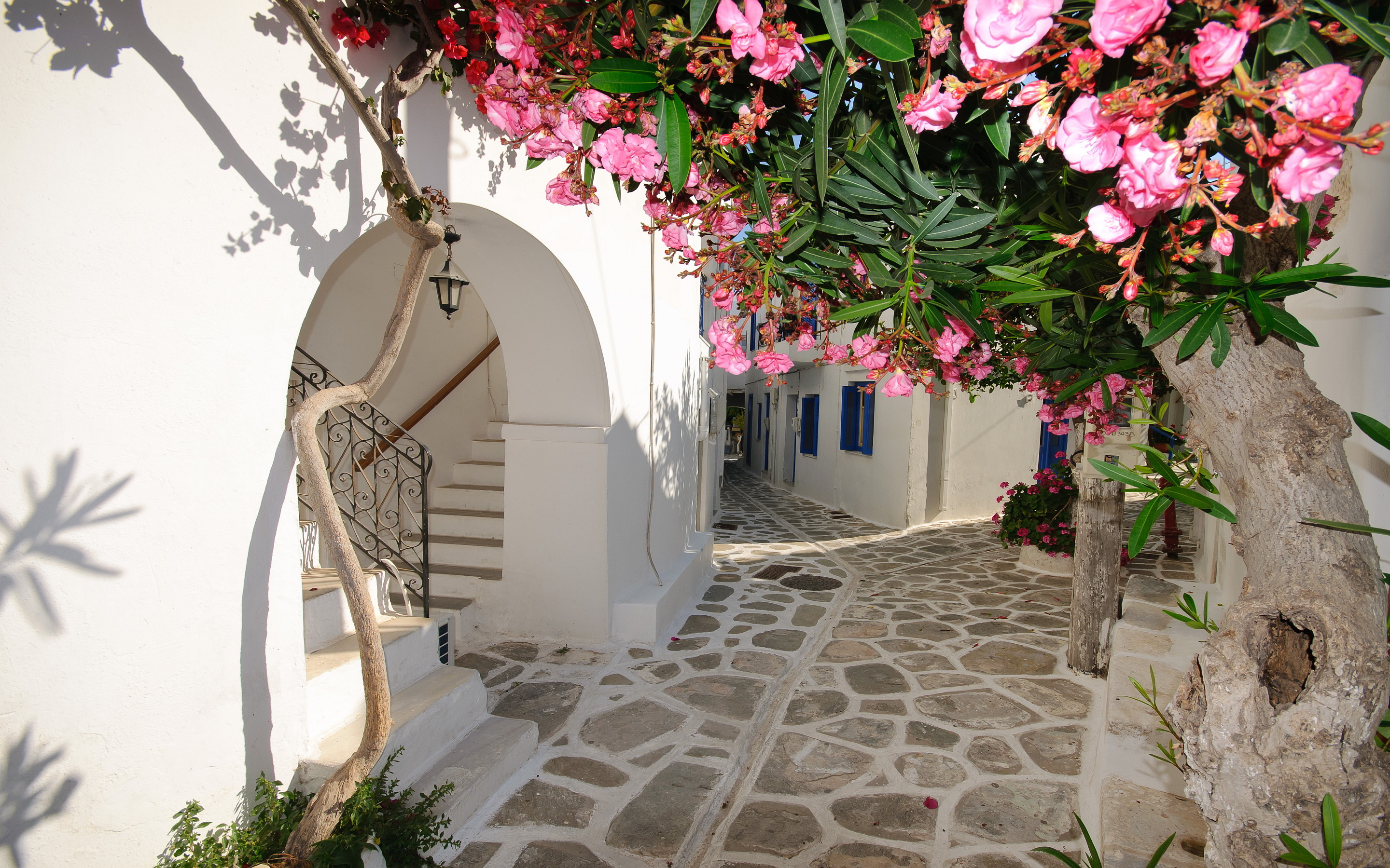 AD-Stunning-Photos-Of-Santorini-Greece-38