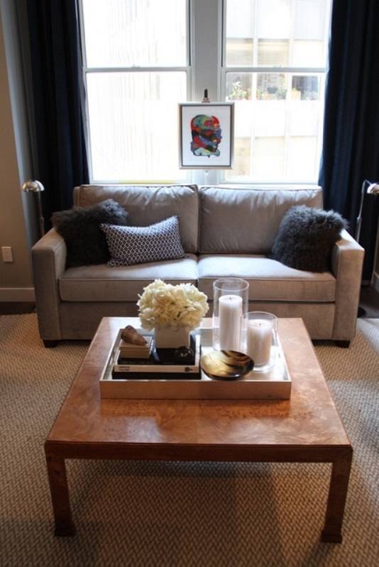 AD-16-simple-cozy-living-room-decor
