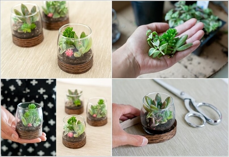 AD-Adorable-Miniature-Terrarium-Ideas-For-You-To-Try-05