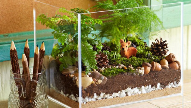 AD-Adorable-Miniature-Terrarium-Ideas-For-You-To-Try-14