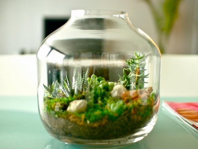 AD-Adorable-Miniature-Terrarium-Ideas-For-You-To-Try-15